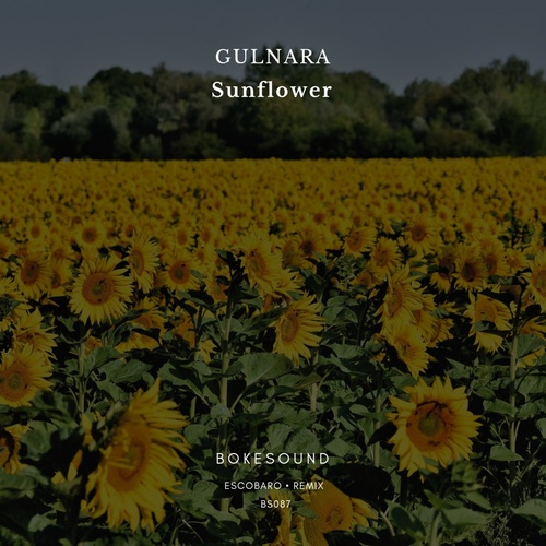Gulnara - Sunflower [BS087]